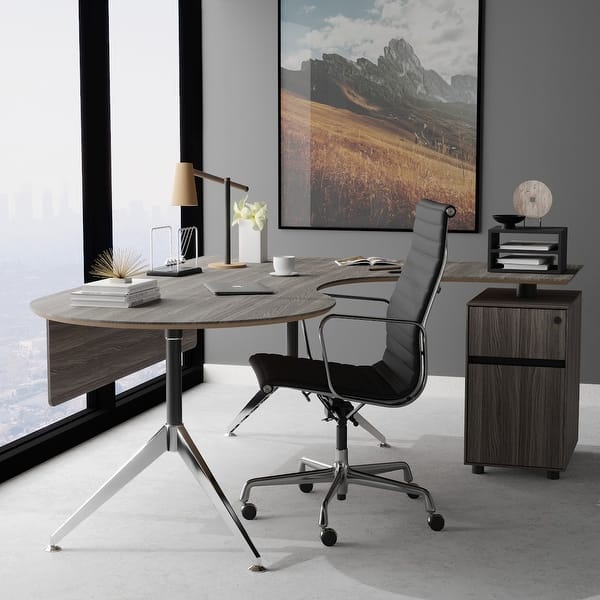 https://ak1.ostkcdn.com/images/products/is/images/direct/a11c2aa11ef43ed85804380daf96ee8524cebfda/Rye-Studio-Modern-Large-Executive-Desk-with-Filing-Cabinet%2C-Grey.jpg?impolicy=medium
