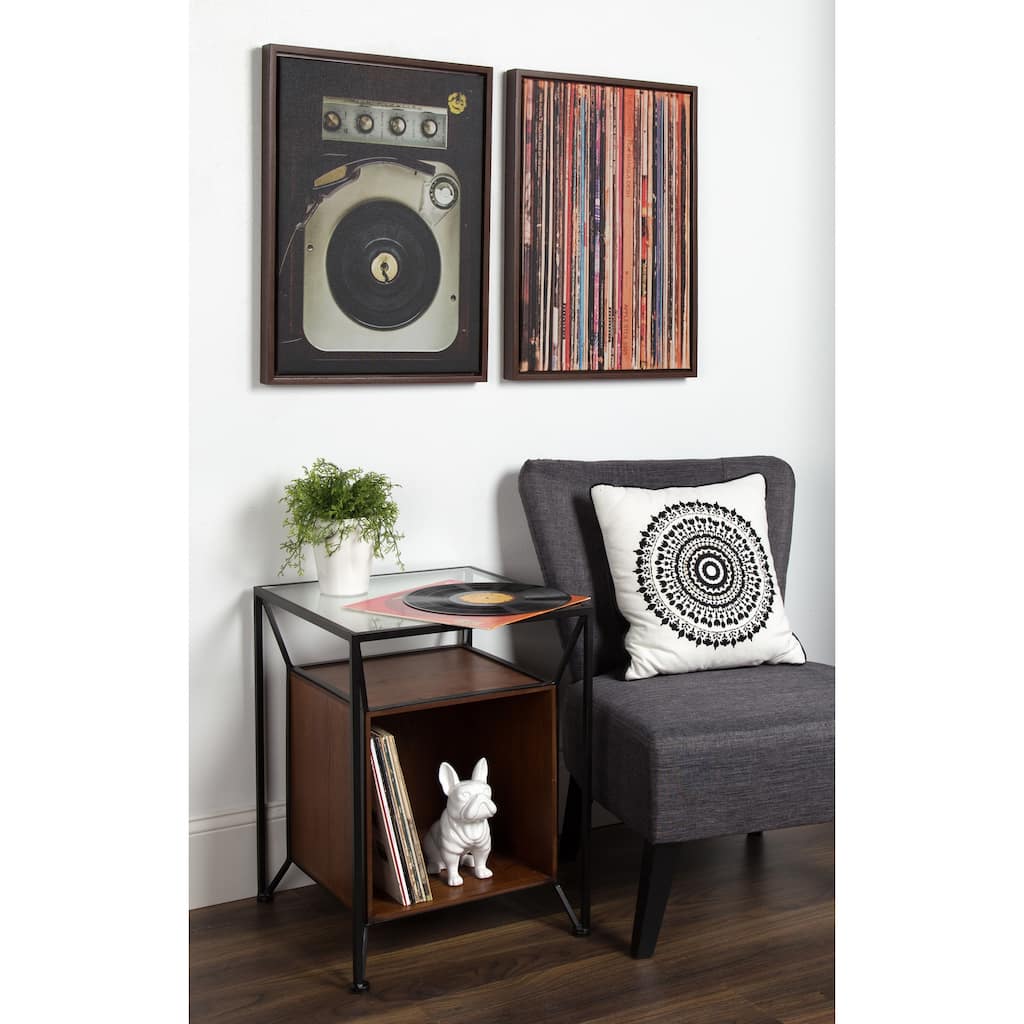 Kate and Laurel Sylvie Record Sleeves Framed Canvas by Robert Cadloff