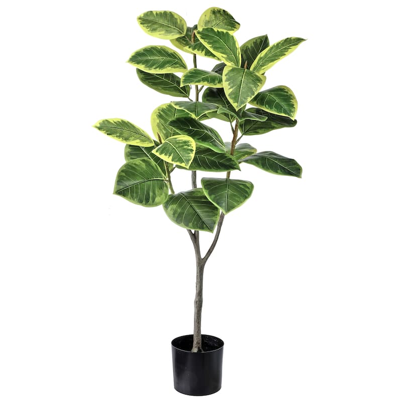 Potted Variegated Rubber Tree 51"