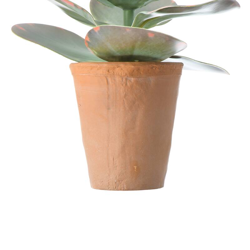 Faux Succulent in Terracotta Colored Pot