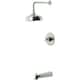 Option Polished Nickel