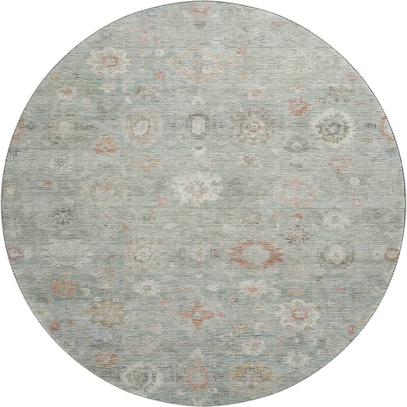 Premium Washable Super Soft Vintage Traditional Mayfield Rug