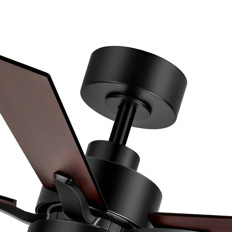 42" 5-Blade Black/White Modern LED Ceiling Fan with Light and Remote