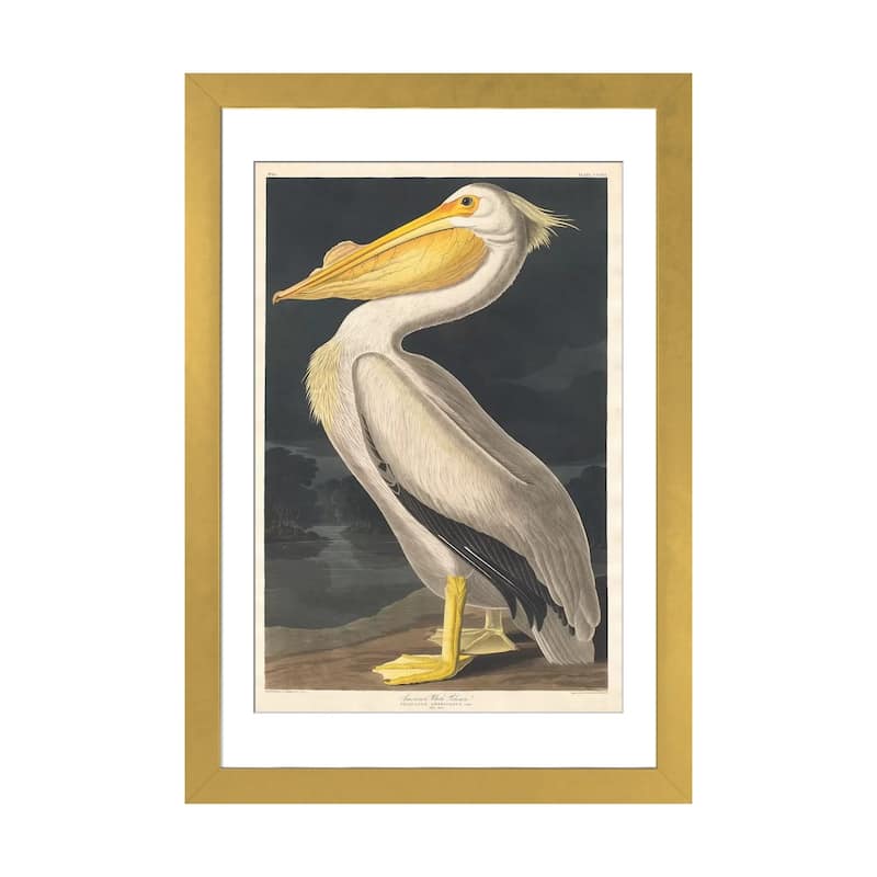 iCanvas "American White Pelican" by John James Audubon - Gold - 24x16x1