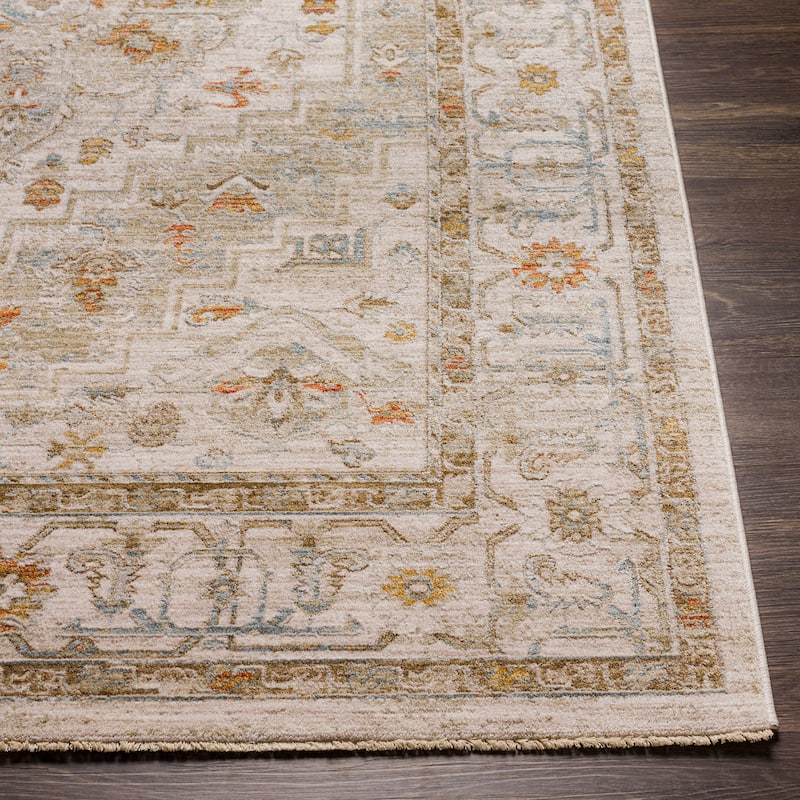 Artistic Weavers Rian Classic Medallion Area Rug