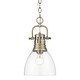 preview thumbnail 1 of 0, Golden Lighting 3602-S AB Duncan 9" Wide Mini Pendant Aged Brass / Clear