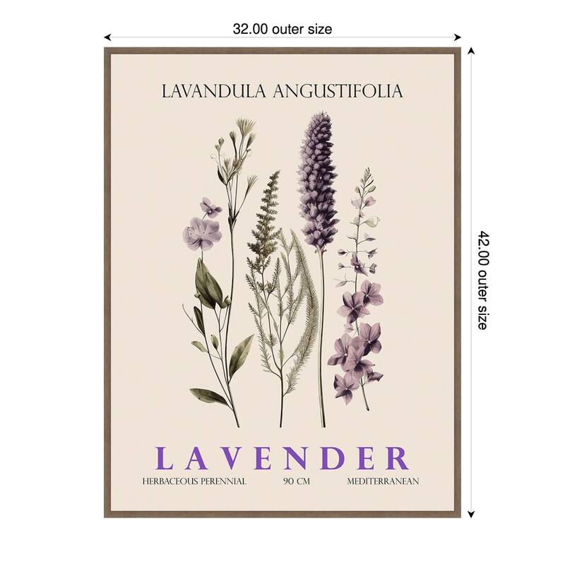 Vintage Botanical Lavender No. 2 Illustration by Christopher Giampietro Framed Canvas Wall Art Print - Brown - 32 x 42 in