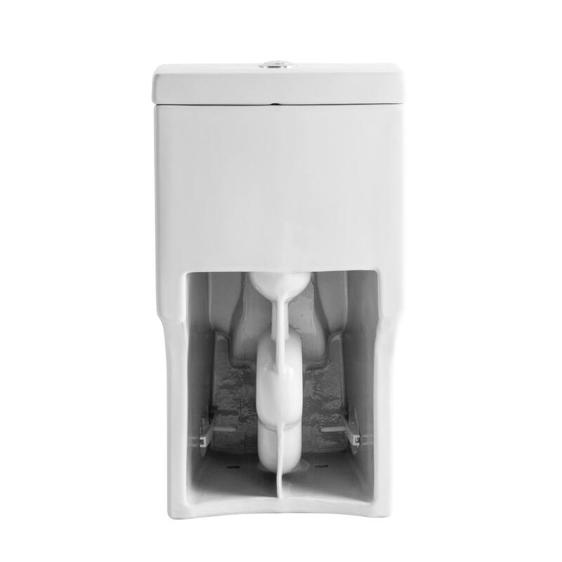 1.6/1.1GPF Dual-Flush One-Piece Toilet, Elongated ADA, 1000g MAP,White