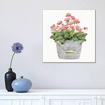 iCanvas "Country Bluch IV" by Sally Swatland Canvas Print