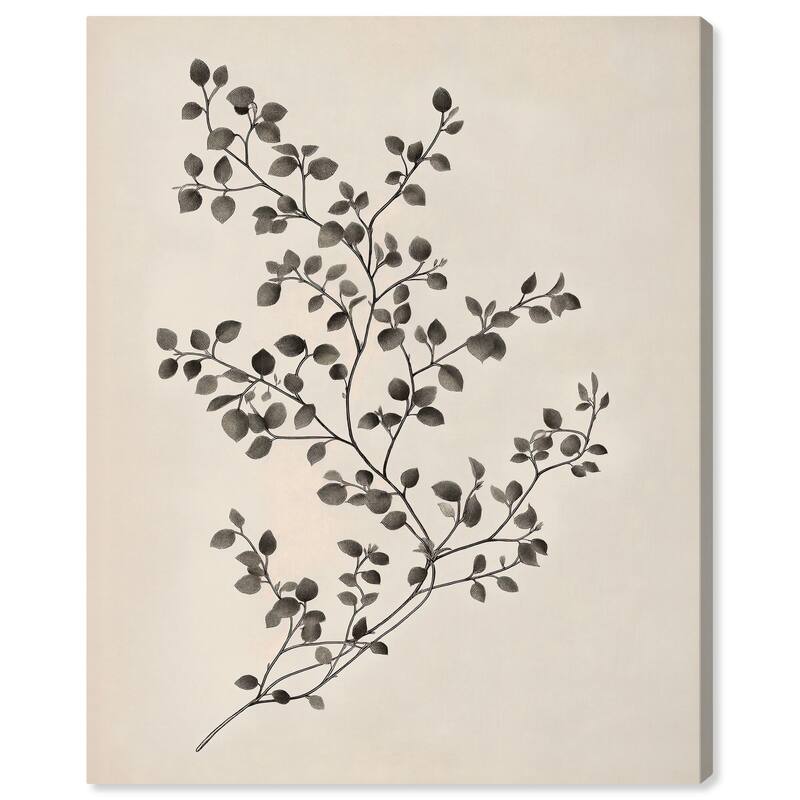 Bilberry Branch II Canvas by Art Remedy, Gallery Wrapped - 24" x 30"