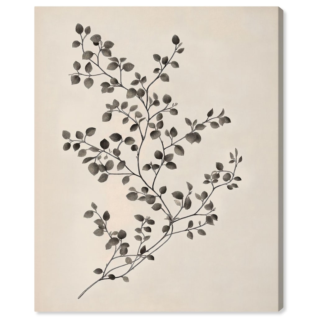 Bilberry Branch II Canvas by Art Remedy, Gallery Wrapped