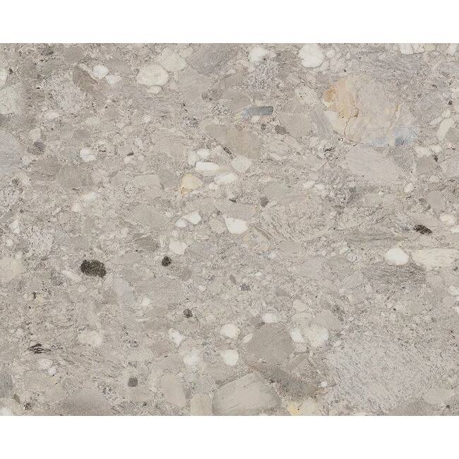 Shaw 496TS Exterior Notion - 24" x 24" Square Floor and Wall Tile - - Grigio