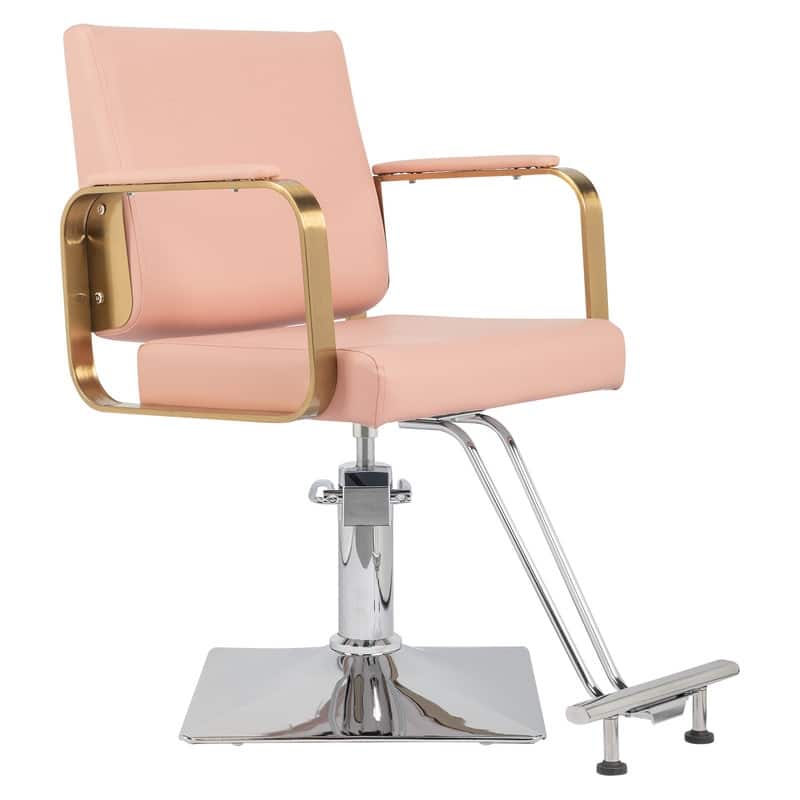 PVC Leather Stainless Steel Armrests Footrests Square Chassis Salon Chair - N/A - Pink