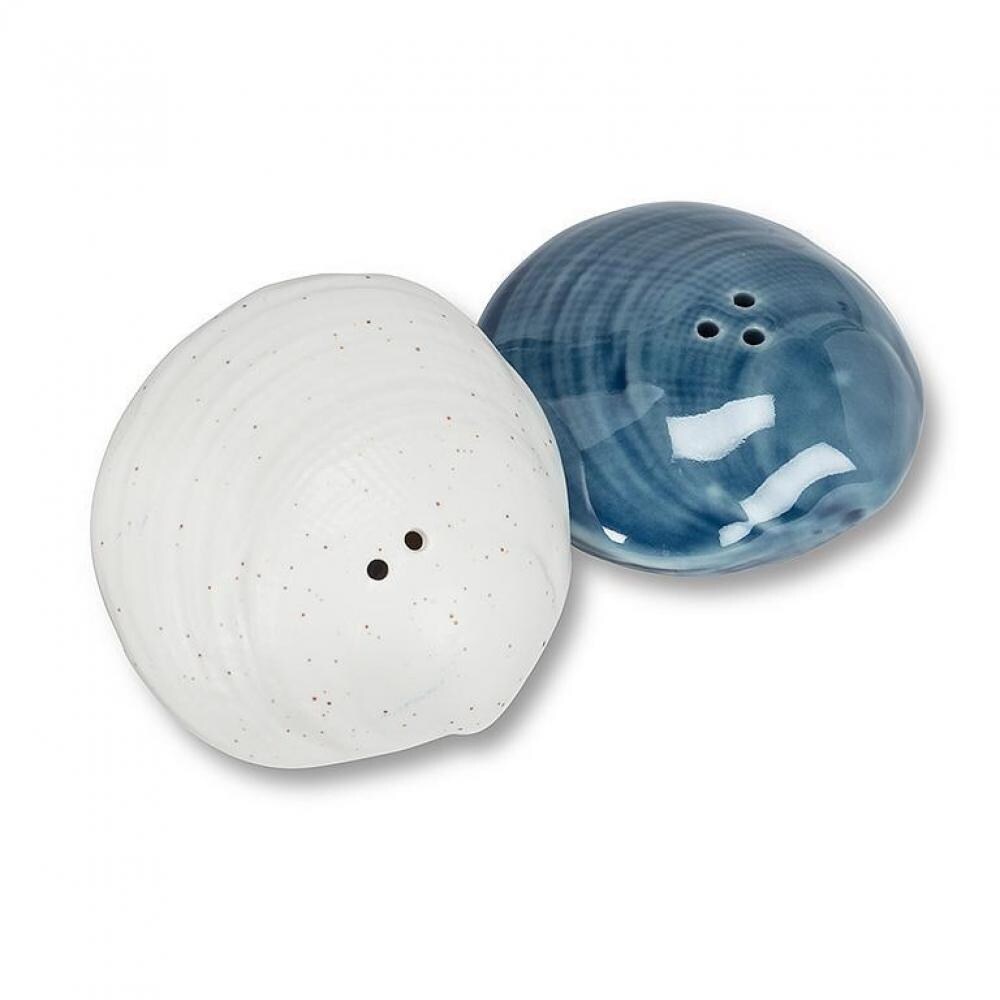 Seashell salt shop and pepper shakers