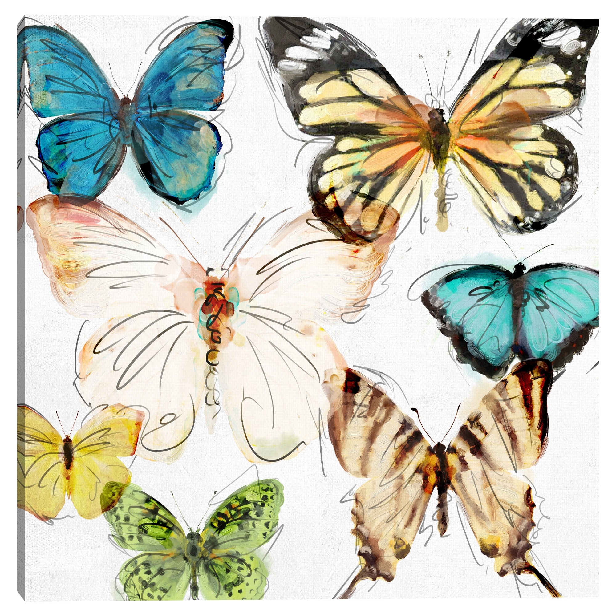 Les Papillons 2 by Studio Arts Canvas Art Print