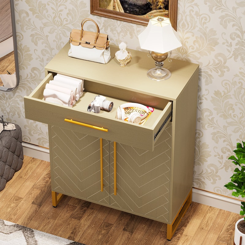 Modern Shoe Cabinet with a Drawer and 5 Adjustable Shelves