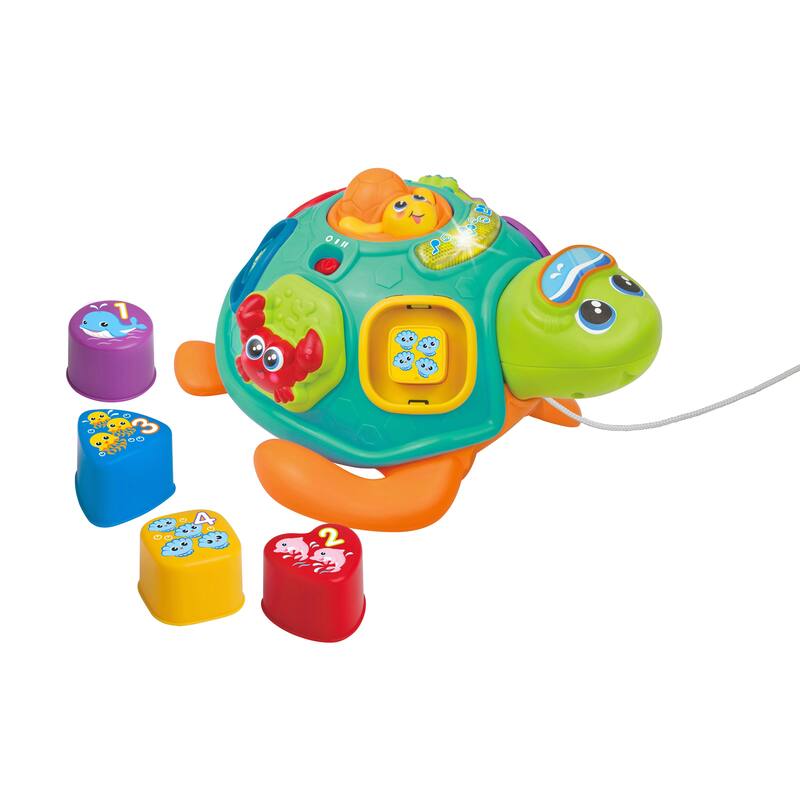 Bilingual Pull along sort 'n Learn Turtle