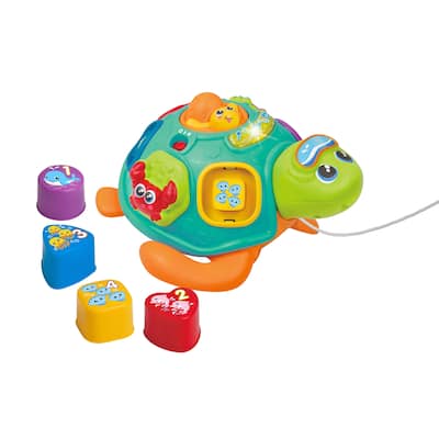 Bilingual Pull along sort 'n Learn Turtle