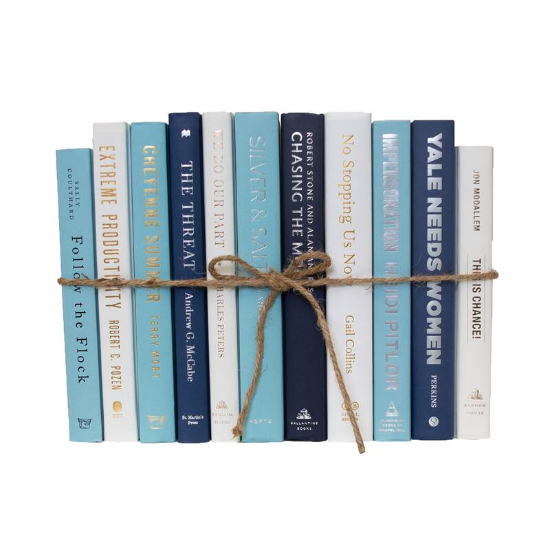 Books Blue Decorative Accessories: Blue Oasis ColorPak