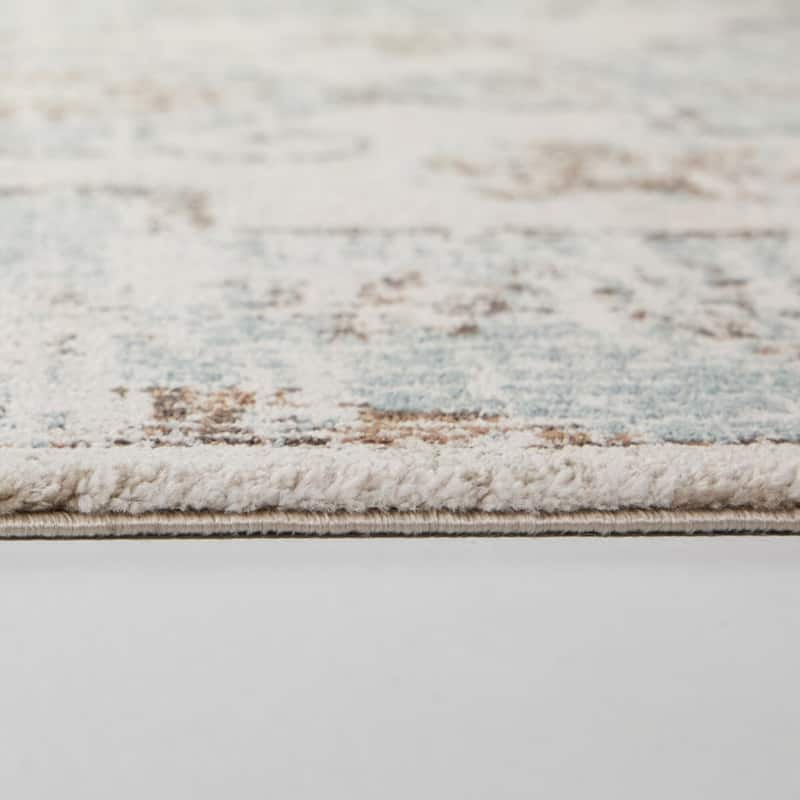 Wolcott Vintage Oriental Area Rug