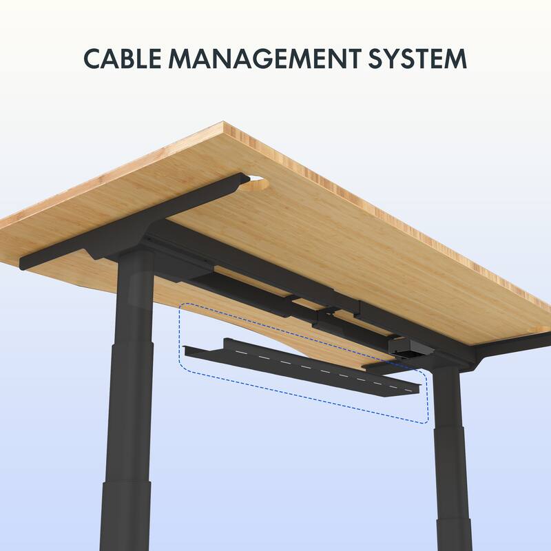 FLEXISPOT Electric Height Adjustable Standing Desk 3-Stage Dual Motor With Curved Bamboo Desktop