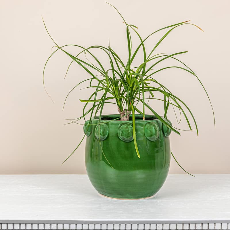 Terra-cotta Planter with Raised Dots Design - 10.5"L x 10.5"W x 9.0"H - Green