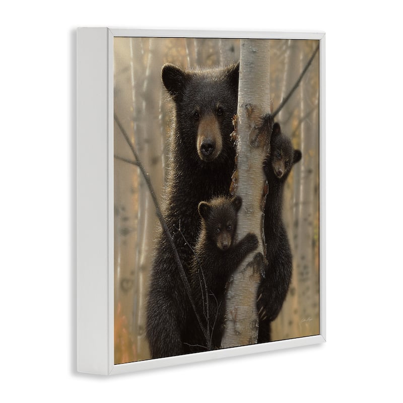 Stupell Black Bear and Cubs Soft Birch Tree Forest Framed Wall Art