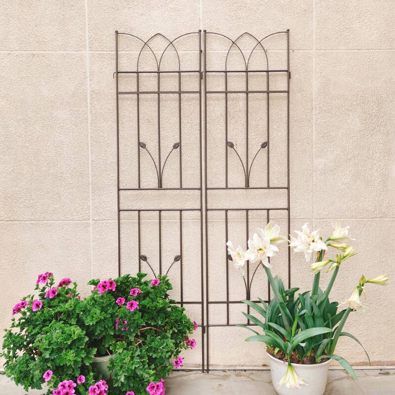 2 Pack Metal Garden Trellis 71in x 17.7in Rustproof Trellis