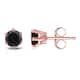 Option Rose