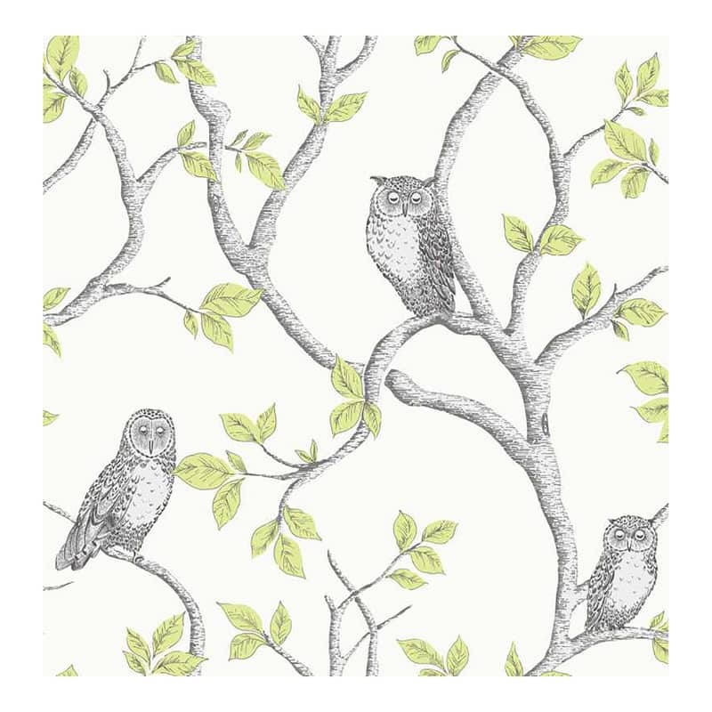 Fine Decor Linden Green Owl Wallpaper - 20.5 x 396 x 0.025