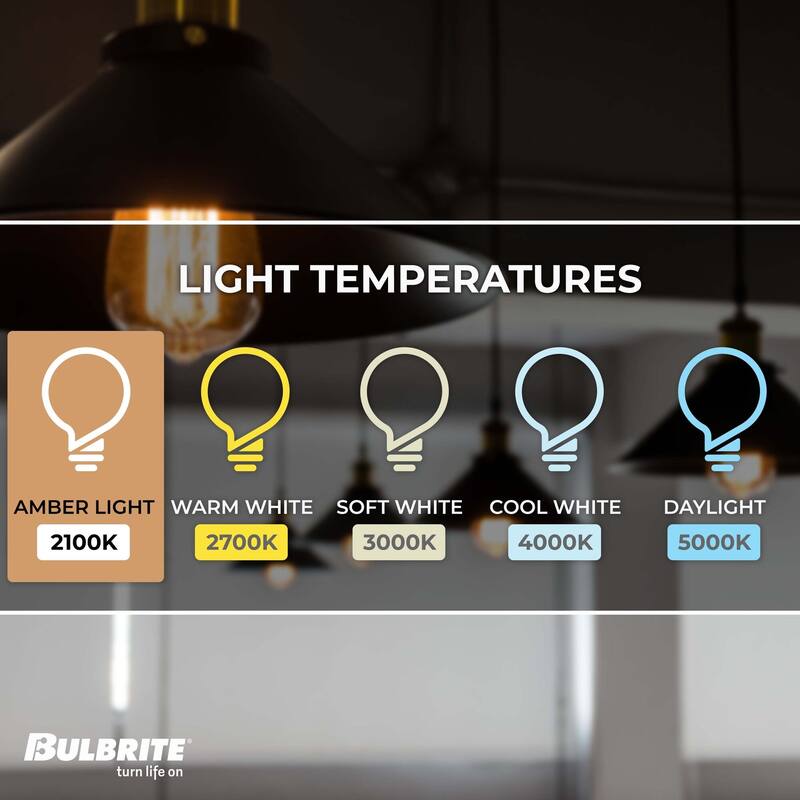 Bulbrite Pack of (4) Dimmable Antique Nostalgic Filament Incandescent Bulb