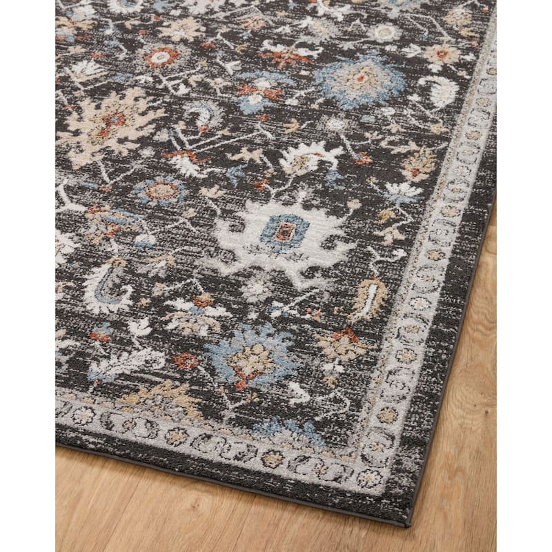 Alexander Home Colette Vintage Garden Traditional Area Rug