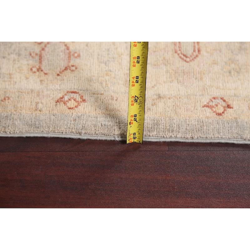 Vegetable Dye Traditional Ziegler Oriental Wool Area Rug Hand-knotted - 4'11" x 6'11"