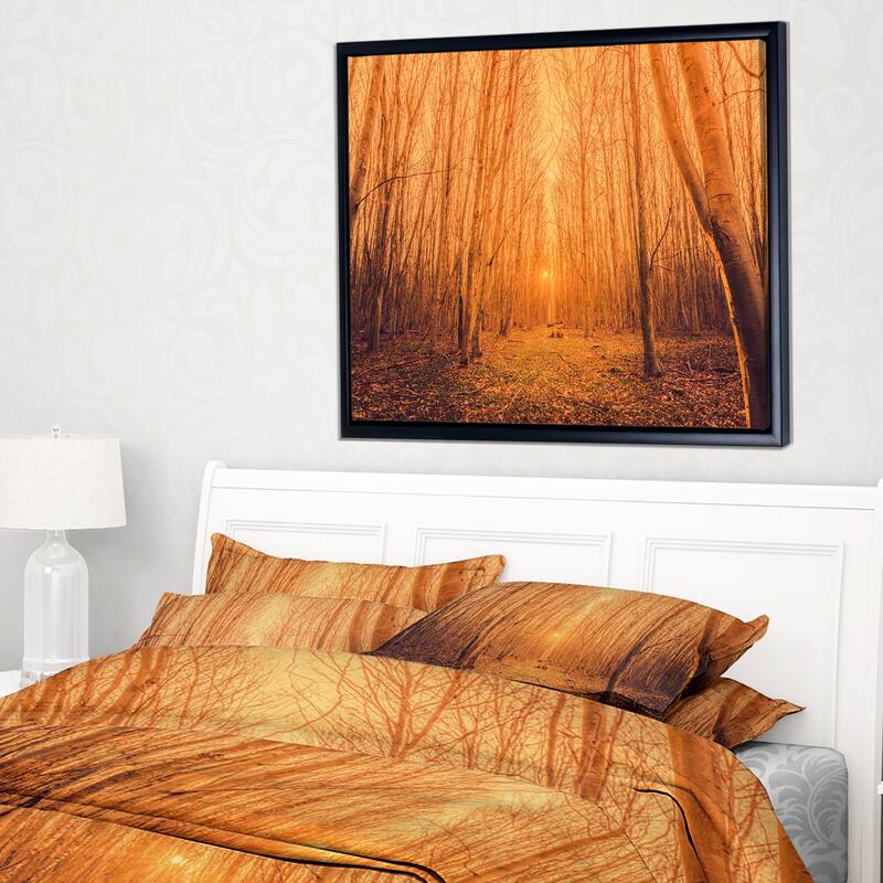 Designart "Sunrise in a Forest with Tall Trees" Landscape Photography