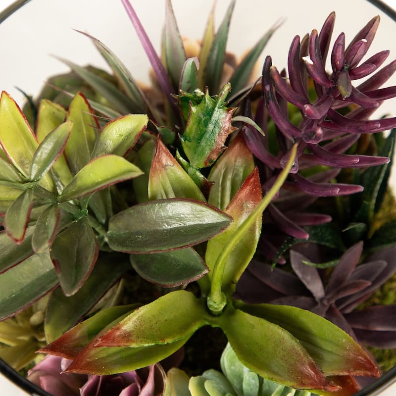 Mixed Succulent Artificial Arrangement in Round Glass Jar - 8" - 5-footx8-foot