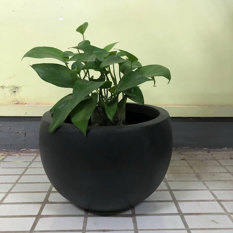 Durx-litecrete Lightweight Concrete Bowl Granite Planter-Large - 19.7'x19.7'x13'