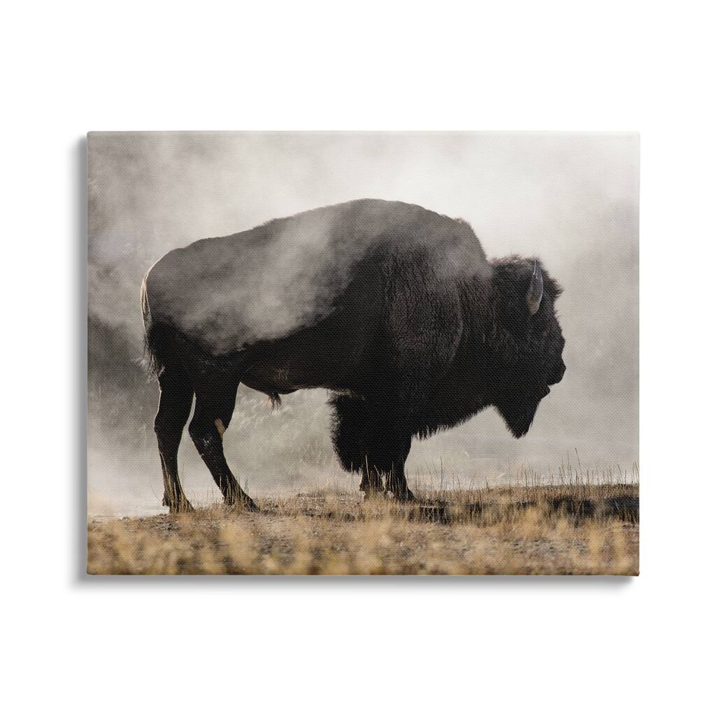 Stupell Powerful Bison Grazing Foggy Rural Pasture Photography Canvas Wall Art, Design by Danita Delimont