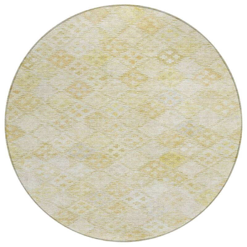 Machine Washable Indoor/ Outdoor Boho Modern Chantille Rug