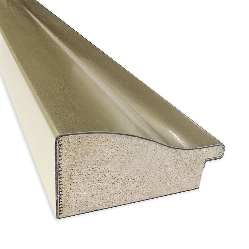 Oliver Non-Beveled Wood Framed Full-Length On the Door Mirror
