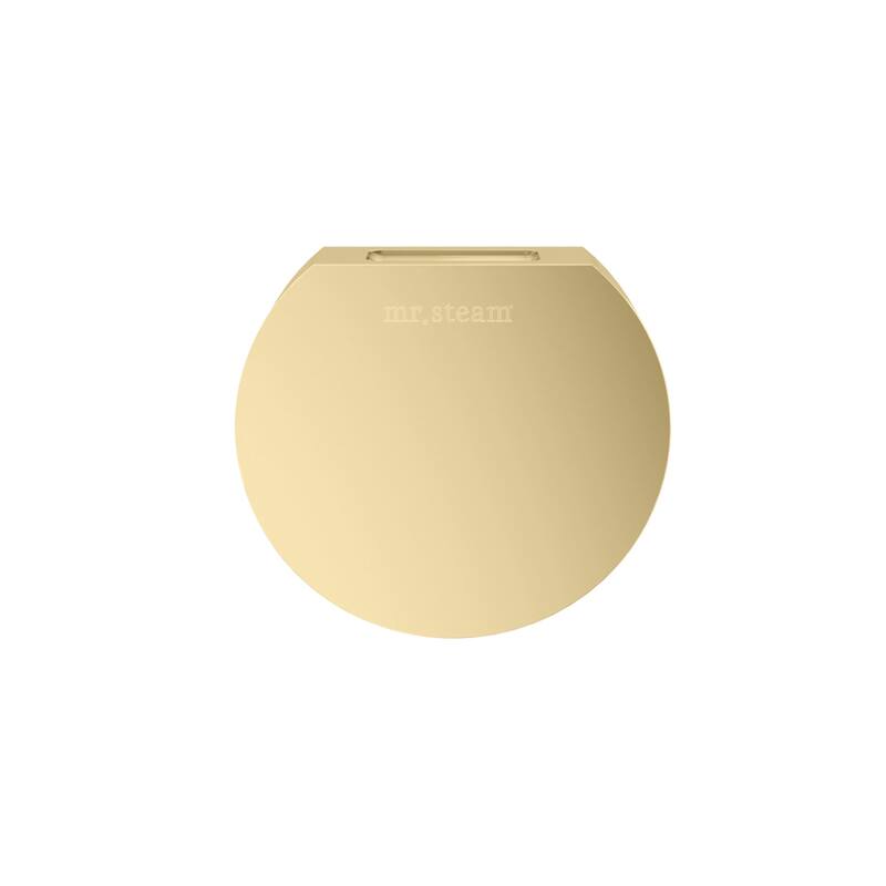 Mr Steam 104515 Designer Square 3 in. Steamhead with Aroma Therapy - Satin Brass