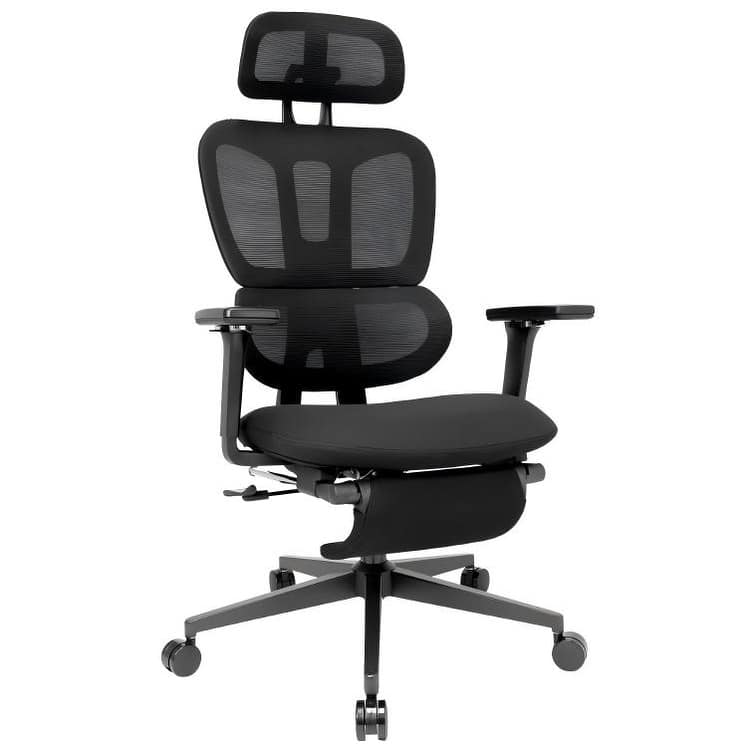 Option Black