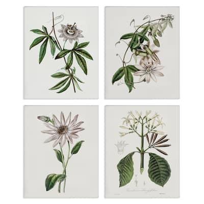 Stupell Various Vintage Botanicals Canvas Wall Art Design By CAD Design (Set of 4)