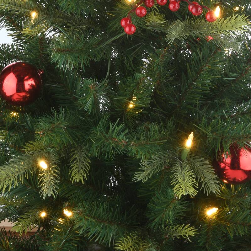 National Tree Company 4 ft. Scotch Creek Fir Entrance Tree with LED Lights - 4 Foot