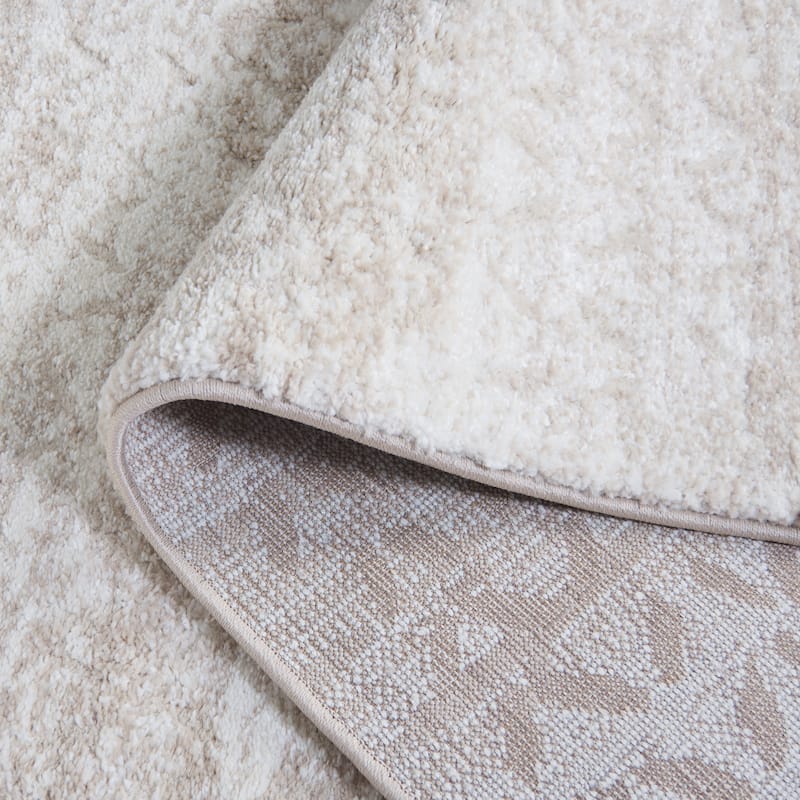 SAFAVIEH Northport Arnfridur Rug