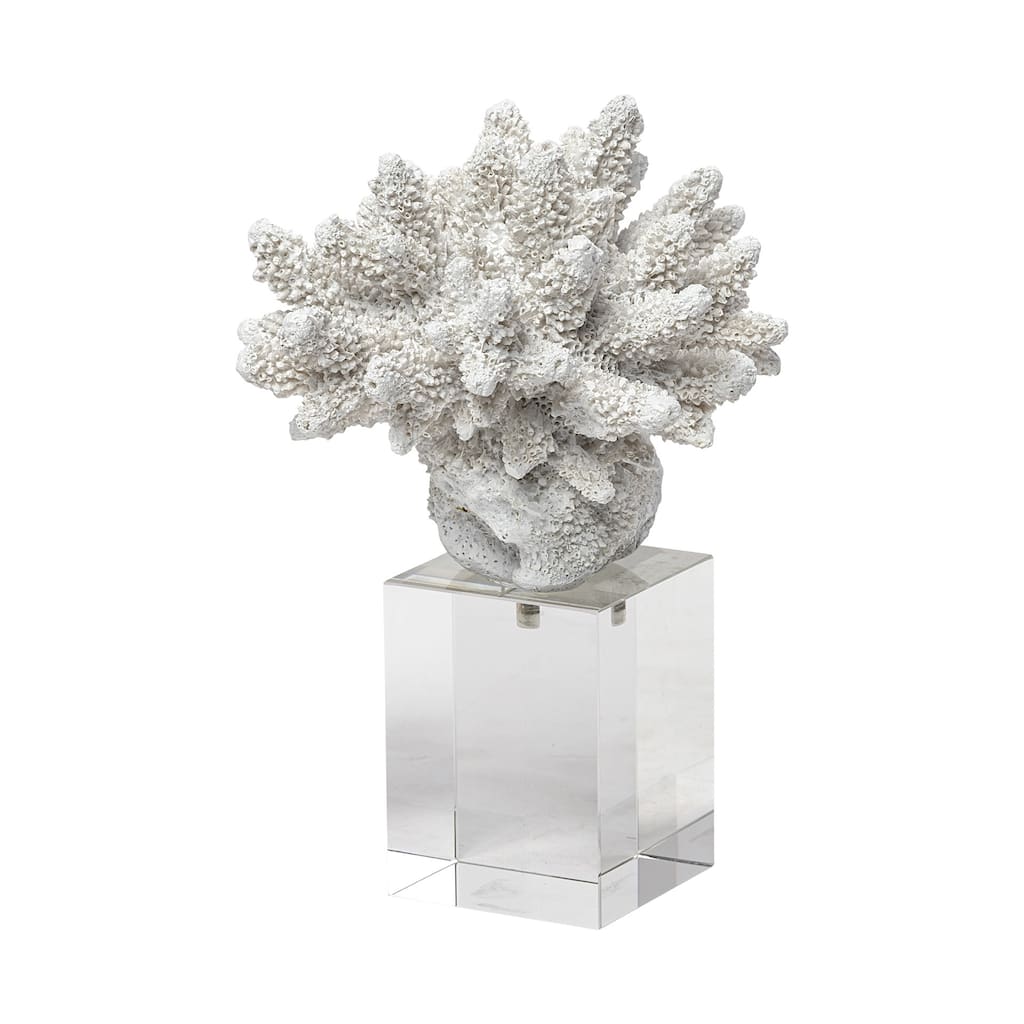 White Contempo Coral and Glass Sculpture