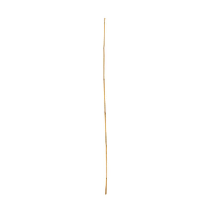Bamboo Wood Tall Sticks Home Decor Natural Foliage - Light Brown - Roche River Decor