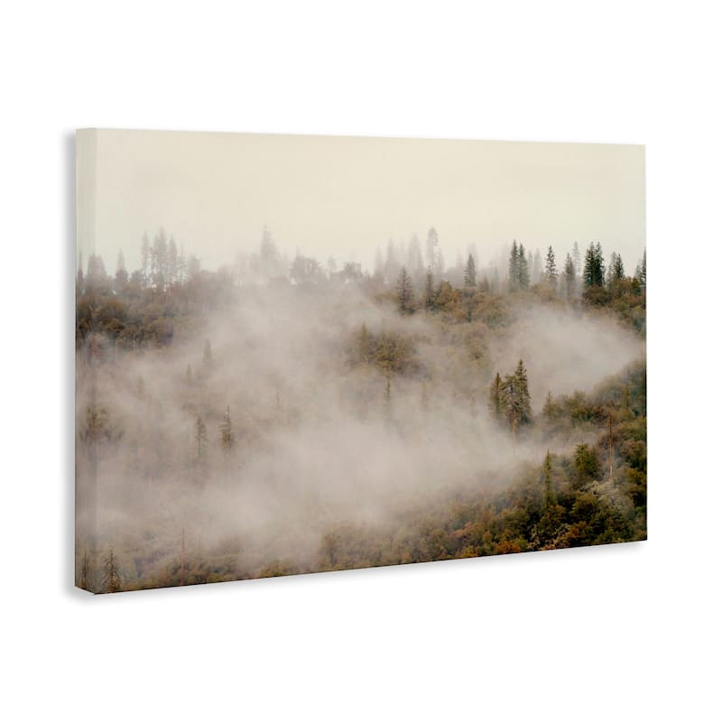 Stupell Morning Fog over Trees Canvas Wall Art Design By Gemma Bardot