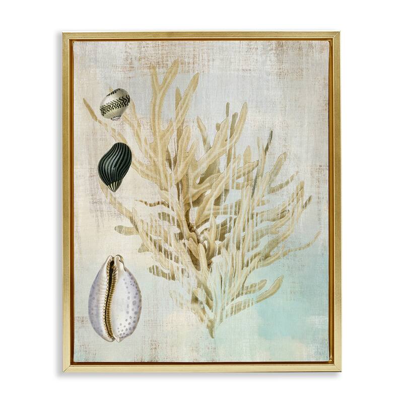 Stupell Coral Branch & Cowrie Shells Framed Floater Canvas Wall Art Design By Susan Arnot - 25 x 31 - Gold