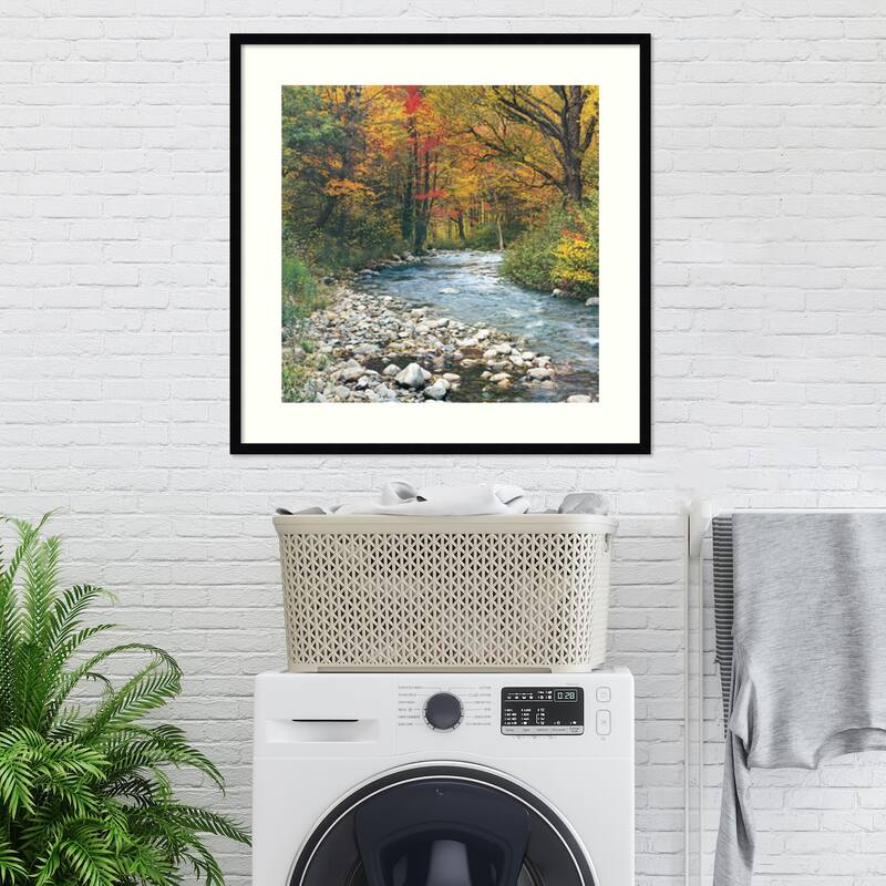 Forest Creek I Framed Art Print
