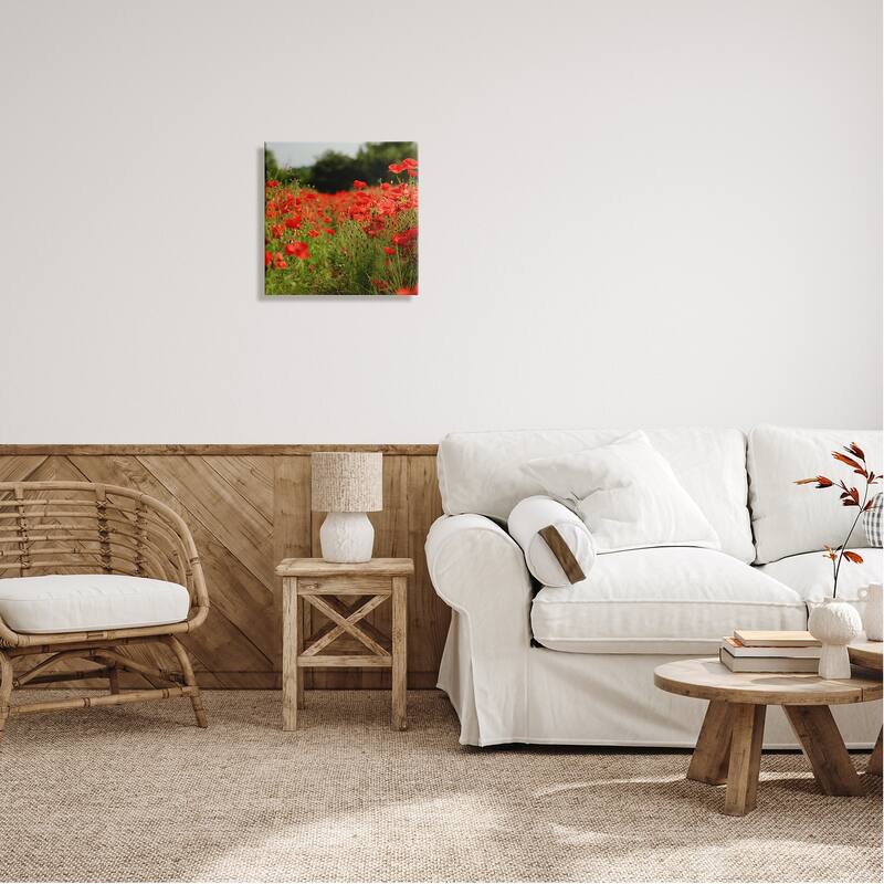 Stupell Brilliant Red Poppy Meadow Scenic Flower Blooms Canvas Wall Art, Design by Dan Meneely